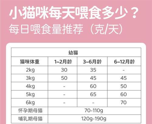 奶糕猫粮是什么？适合哪些阶段的猫咪食用？