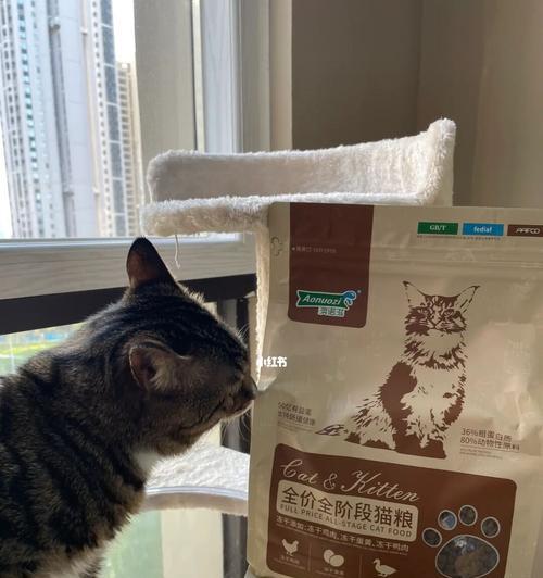 猫粮口袋破损了怎么处理？有效保存方法有哪些？