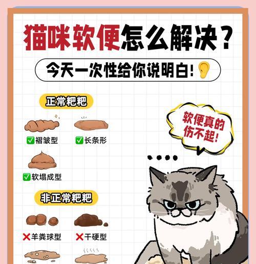 猫粮中哪些成分可能导致软便问题？如何选择合适的猫粮成分？