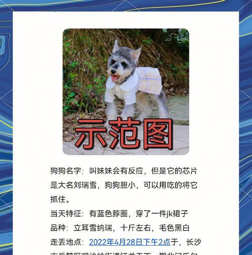 羊驼丢失了怎么办？找回丢失羊驼的有效方法是什么？