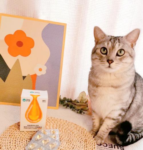 加鱼油的猫粮品牌有哪些？添加鱼油对猫咪有哪些好处？