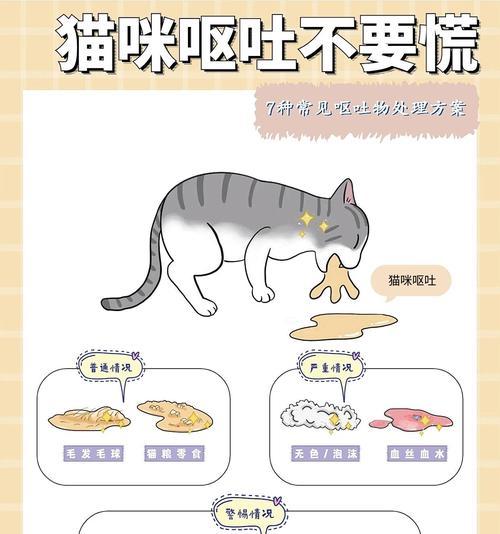 猫咪呕吐后应如何饮食？呕吐原因有哪些判断方法？