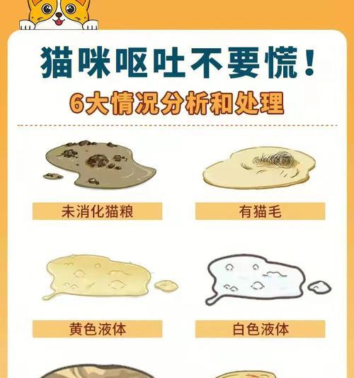 猫咪呕吐后应如何饮食？呕吐原因有哪些判断方法？