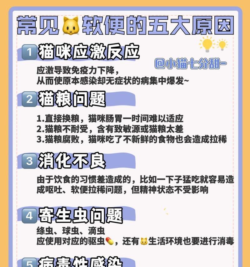 第一天换猫粮会拉稀吗？换粮过程中应注意哪些事项？