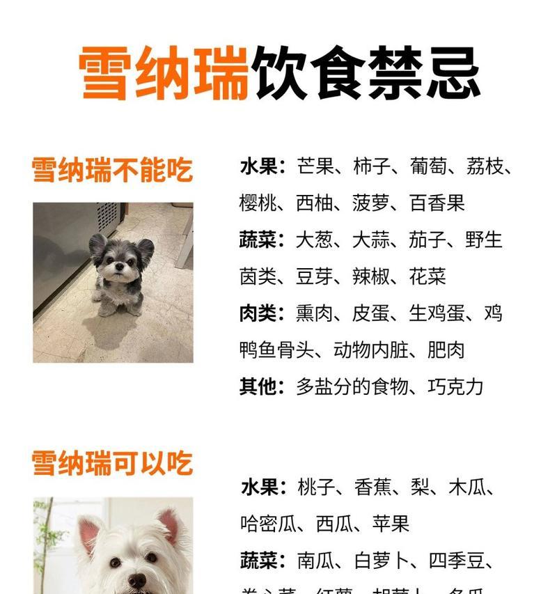 现代雪纳瑞2013款多少钱？购买时应留意哪些事项？