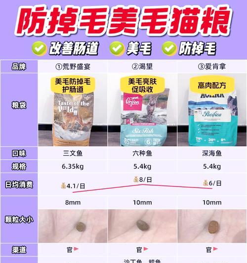 猫粮掉毛严重吃什么食物？有哪些改善建议？