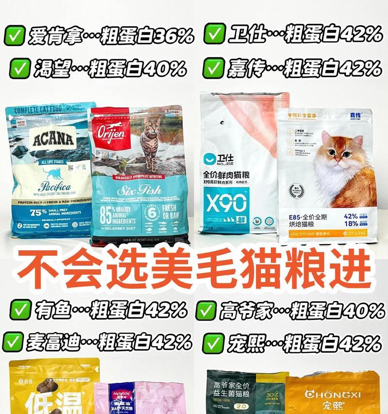 猫粮掉毛严重吃什么食物？有哪些改善建议？