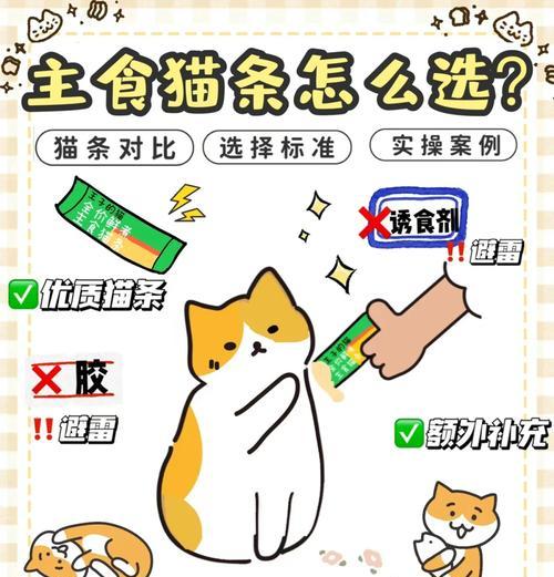猫咪同时有猫条和猫粮该如何喂食？喂食比例和时间如何安排？