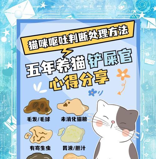 猫咪呕吐猫粮品牌揭秘？呕吐后应采取哪些措施？