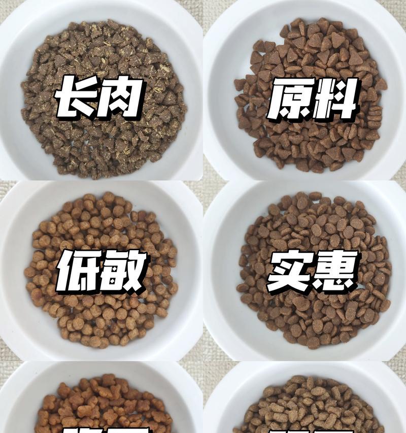幼猫没有猫粮时应该喂什么？紧急情况下有哪些替代食物？