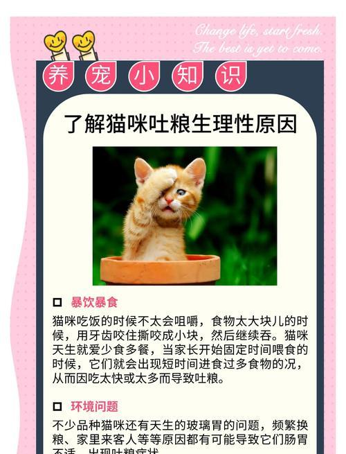 猫咪突然扒猫粮的原因是什么？如何解决这一行为问题？