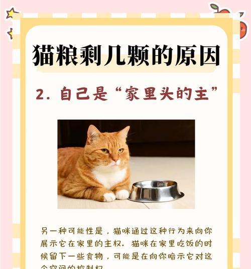 猫咪突然扒猫粮的原因是什么？如何解决这一行为问题？