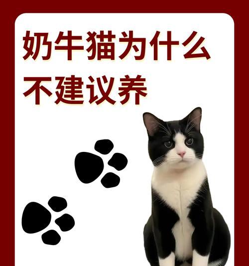 为什么猫只喝泡了牛奶的猫粮？揭秘猫咪偏好背后的真相？