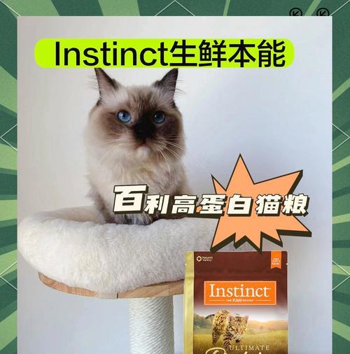 百利猫粮混合喂食指南：搭配其他猫粮的健康建议是什么？