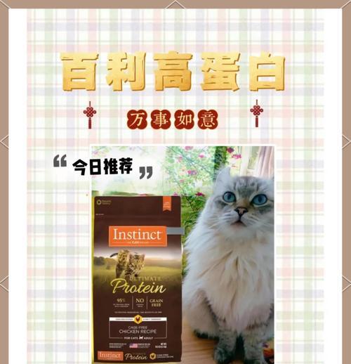 百利猫粮混合喂食指南：搭配其他猫粮的健康建议是什么？