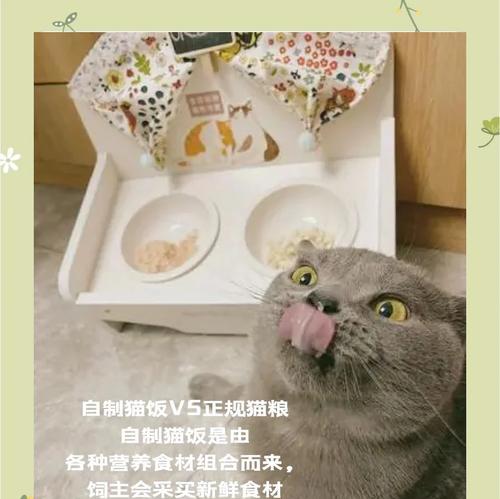 猫吃米饭后还会吃猫粮吗？探究猫咪饮食习惯的原因是什么？
