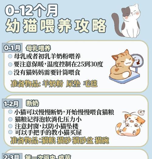 小猫断奶后过渡到猫粮的正确方法是什么？有哪些技巧可以使用？