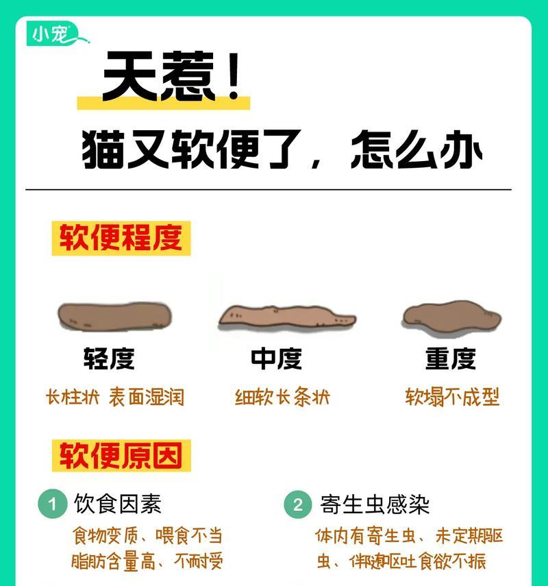 猫咪软便且厌食猫粮的可能原因是什么？如何解决？