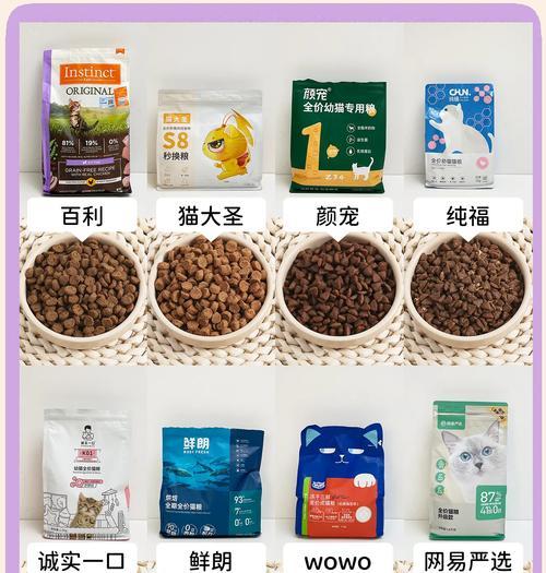 3个月幼猫湿粮选择指南：哪种最适宜？选购技巧大公开？