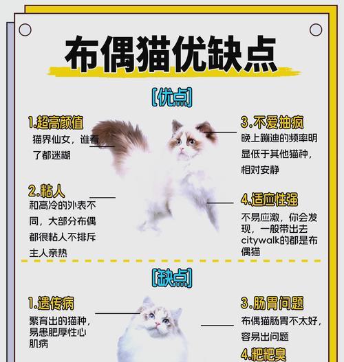 布偶猫呕吐猫粮的可能原因是什么？如何预防和处理？