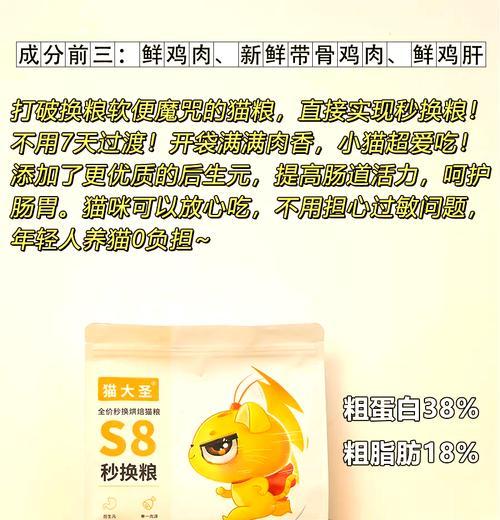 布偶猫呕吐猫粮的可能原因是什么？如何预防和处理？