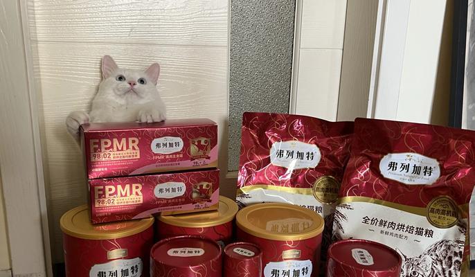 猫粮何时能到货并送到家中？最新到货时间表和配送流程是什么？