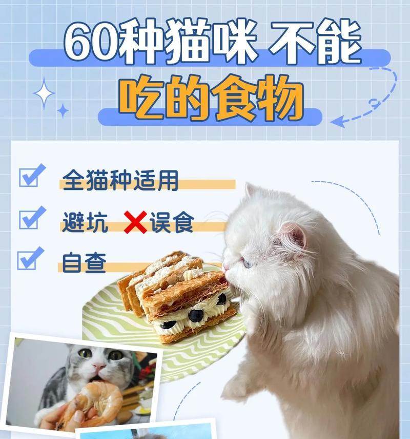 猫咪是否必须只吃猫粮？拒绝猫粮的常见原因是什么？