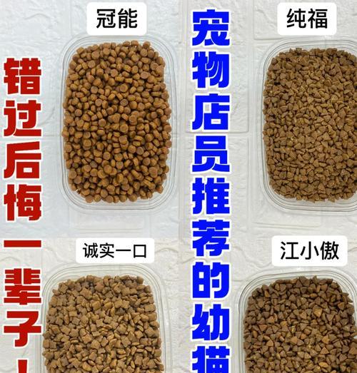 猫全口拔牙后拒食猫粮怎么办？德文幼猫猫粮品牌推荐？