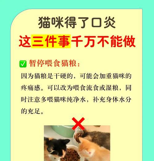 猫咪牙龈炎影响食欲怎么办？如何保证猫咪的水分摄入？