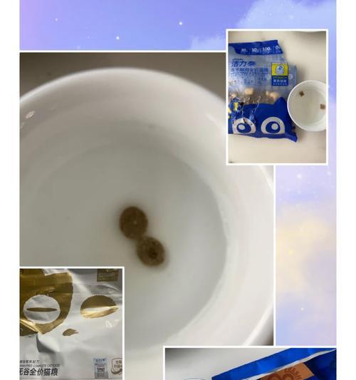 在家如何检测猫粮质量？猫粮好坏的简易检测方法是什么？