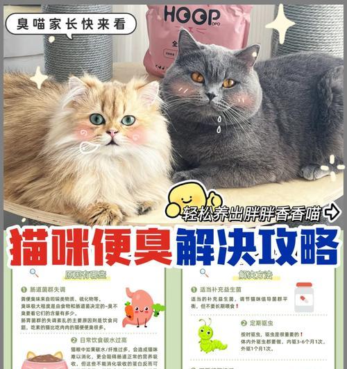 猫误食猫粮当粑粑怎么办？纠正方法有哪些？