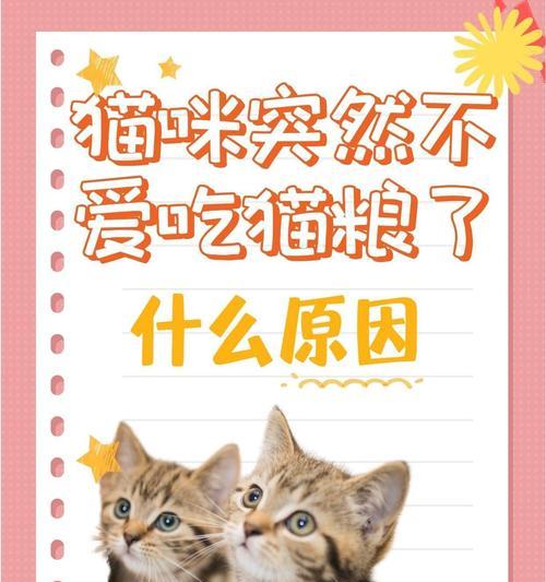 猫咪产奶期间拒绝猫粮的原因是什么？如何解决？