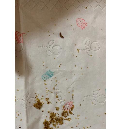 猫粮生虫和棉絮问题如何解决？有效处理方法有哪些？