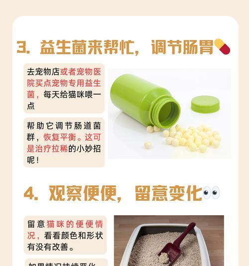 猫粮生虫和棉絮问题如何解决？有效处理方法有哪些？