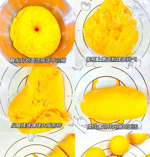 制作南瓜猫粮的步骤和技巧是什么？
