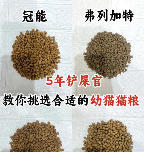 成年猫偷吃幼猫猫粮怎么办？防止成年猫偷食的方法是什么？