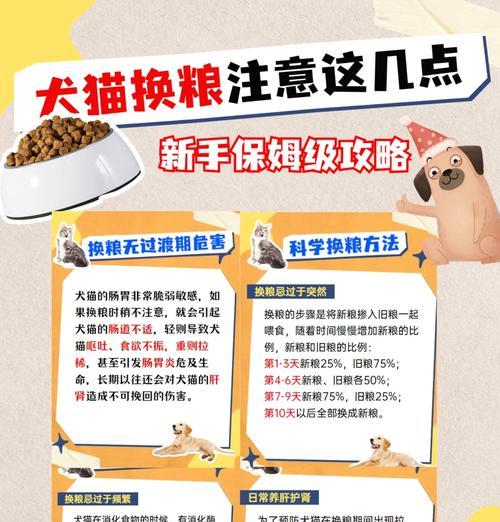 猫粮倒掉的原因有哪些？有效解决方法是什么？