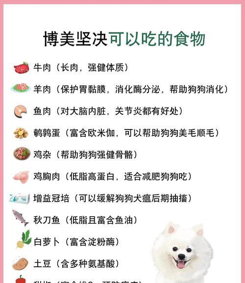 博美犬能吃猫粮吗？选择合适猫粮的注意事项是什么？
