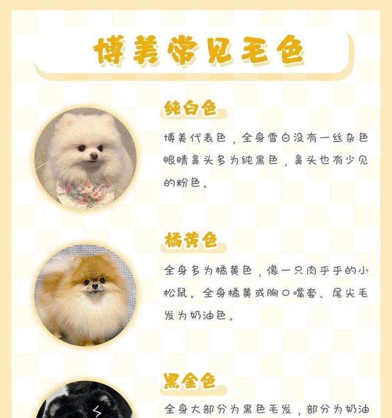 博美犬能吃猫粮吗？选择合适猫粮的注意事项是什么？