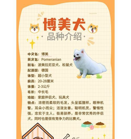 博美犬能吃猫粮吗？选择合适猫粮的注意事项是什么？