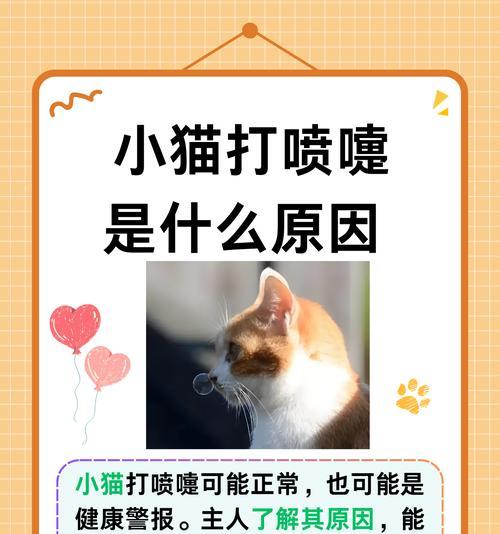  猫咪频繁打喷嚏？猫粮可能的原因及解决办法