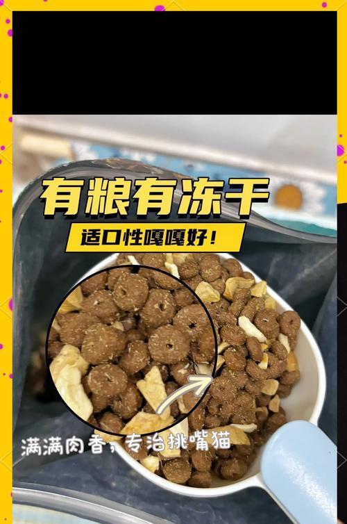 牛肉味猫粮怎么做？制作过程中如何保证营养和口感？