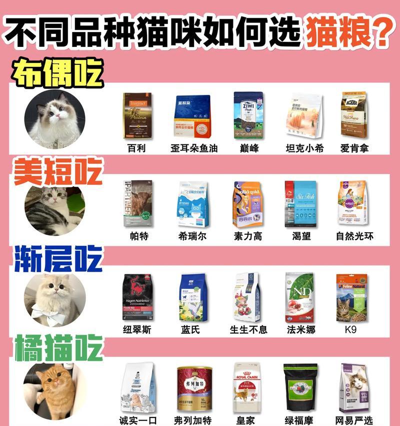 长毛猫猫粮选择指南：哪种猫粮最适合？