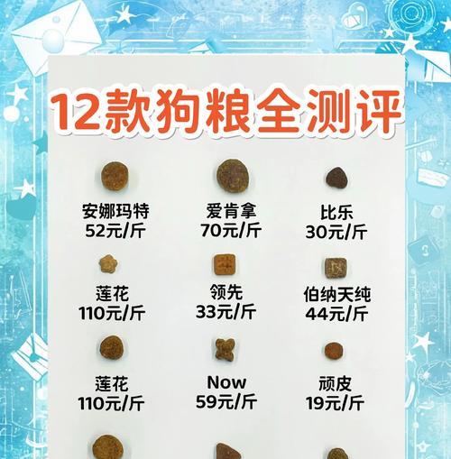 糖狗配方粮选择指南：哪种最适合您的宠物？