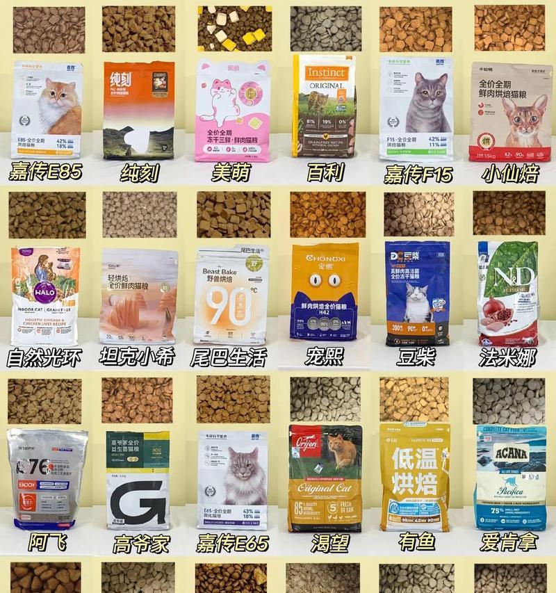 猫咪吃猫粮时用什么工具比较好？如何选择适合的喂食工具？