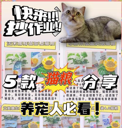 忘记留猫粮后如何快速补救？紧急情况下猫咪饥饿怎么办？
