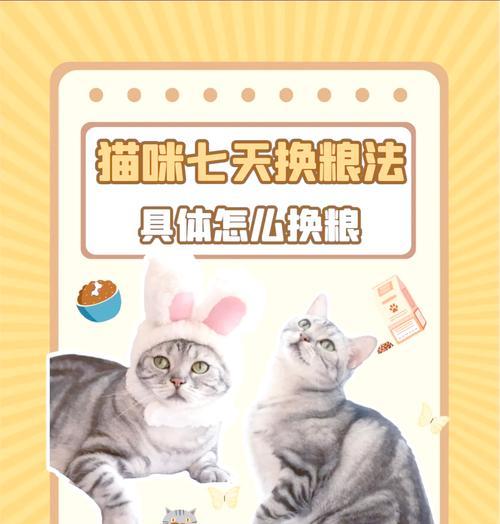 忘记留猫粮后如何快速补救？紧急情况下猫咪饥饿怎么办？