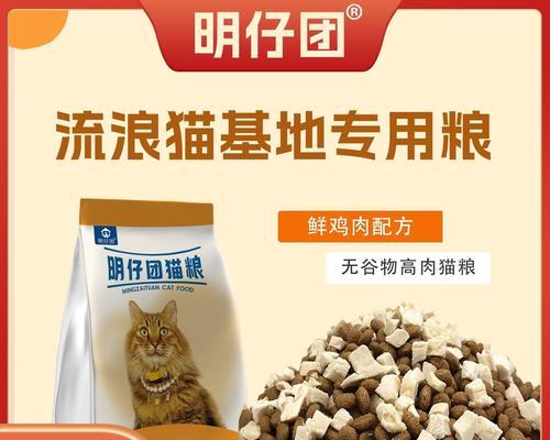 七个月流浪猫应该吃什么猫粮？如何选择合适的猫粮品牌？