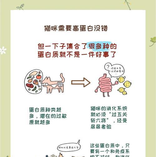 幼猫停止吐猫粮是正常现象吗？背后的原因是什么？