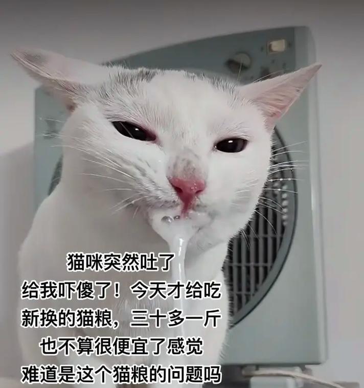 偷窃猫粮是否违法？遇到这种情况该如何处理？